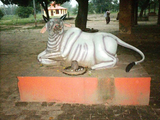 Kaamdhenu Gau Maata