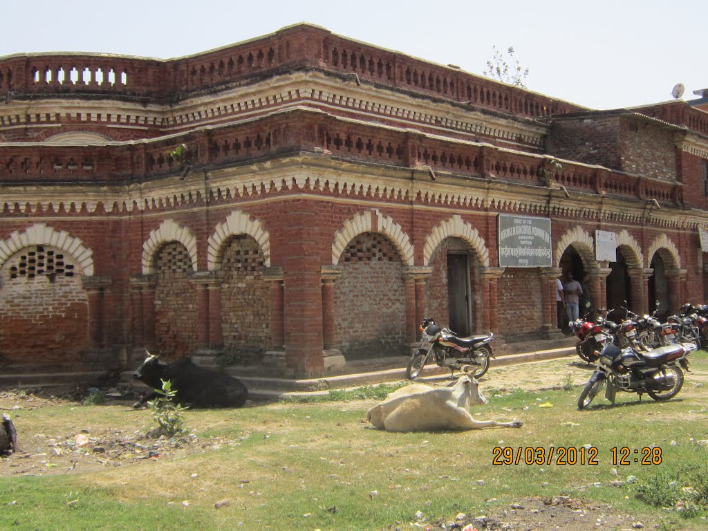 LAL KOTHI- Office of the National Filaria Control Program Center, Gorakhpur, Uttar Pradesh, India