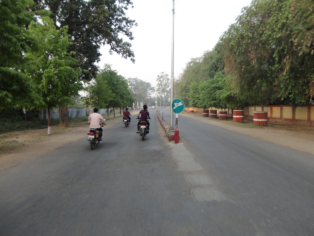 ROAD TOWARDS RAILWAY CROSSING, Kawwa Bagh Colony, Gorakhpur, Uttar Pradesh, India