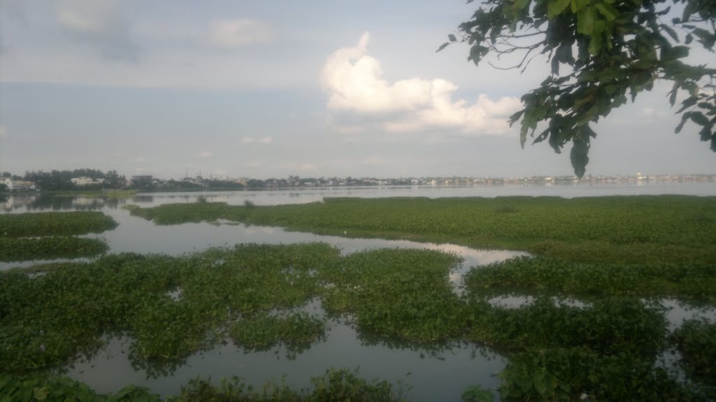TARA  MANDAL ROAD
