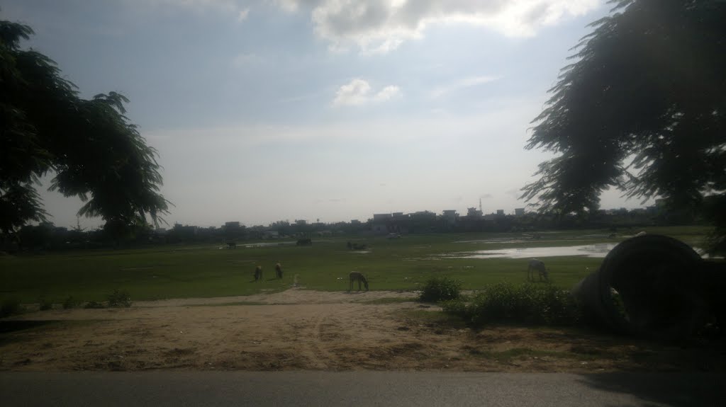 TARA  MANDAL ROAD