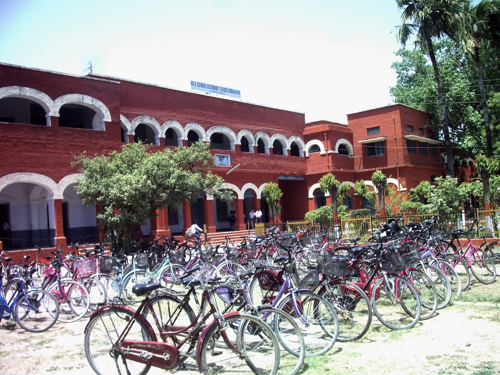 NE Rly sr sec School
