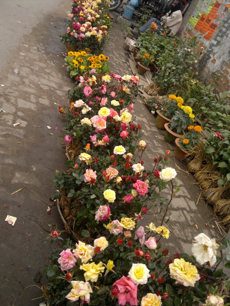 bank road gorakhpur