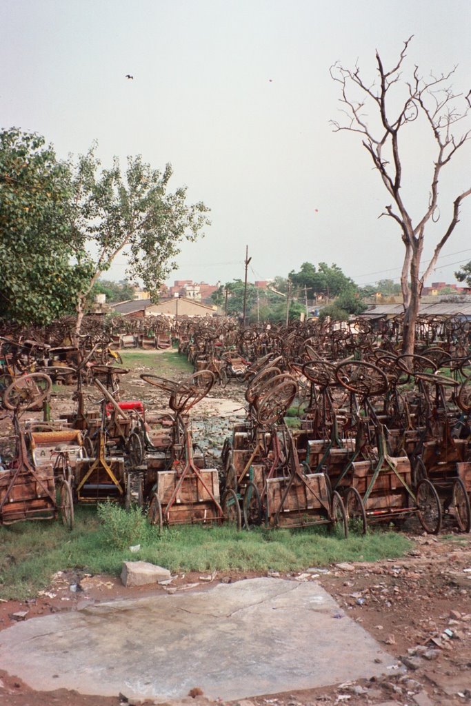 Trike Park