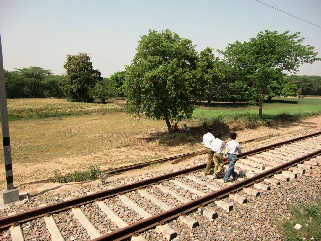 Rail walkers
