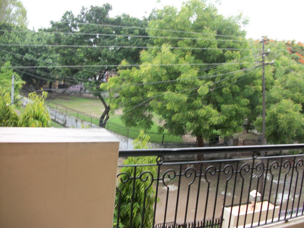my home