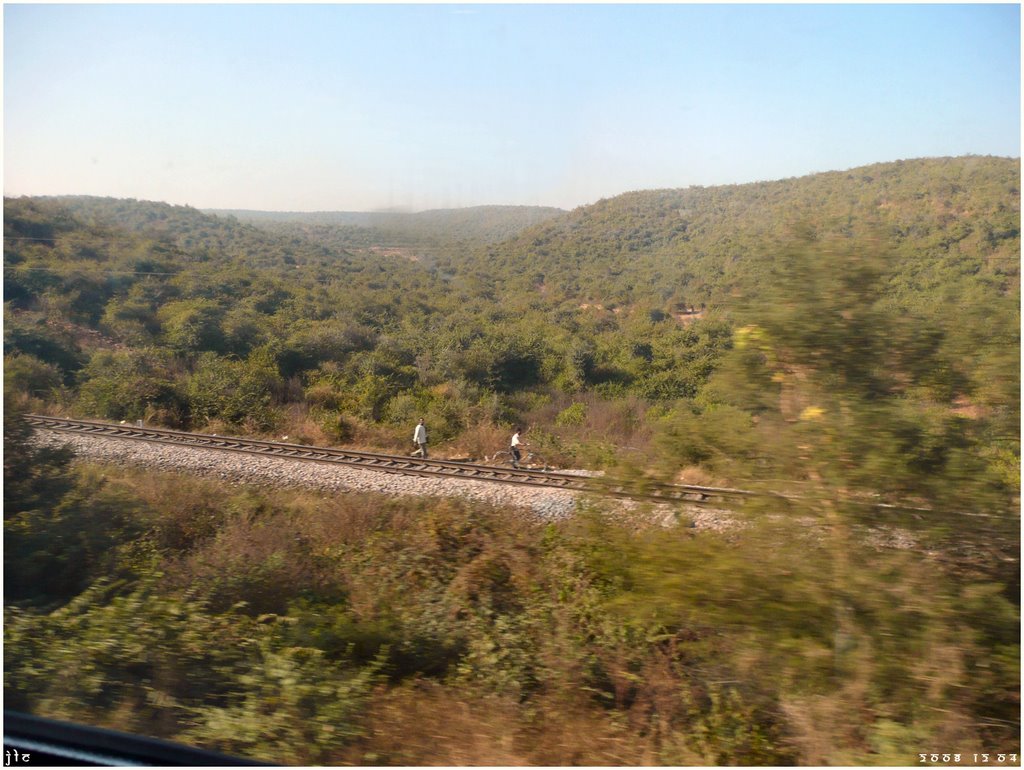 Via Férrea - Agra/Jhansi - India .τ®√ℓΞΛج