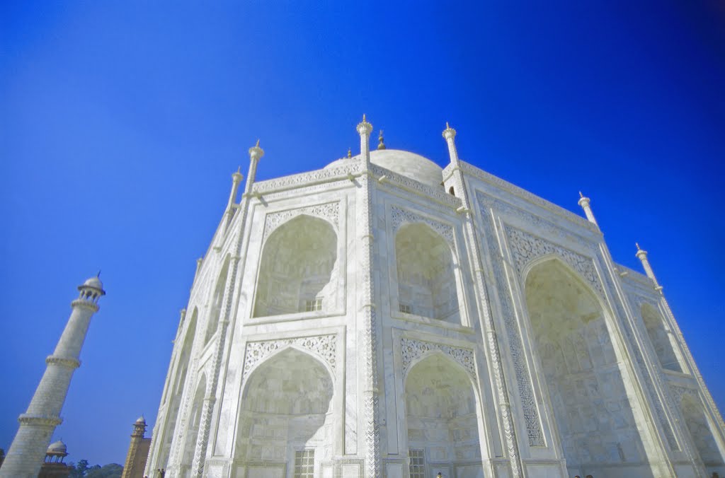 Taj Mahal Blue angle