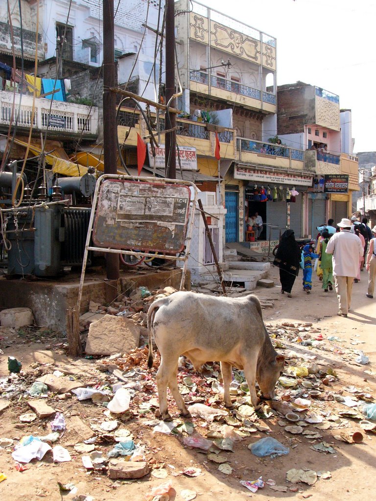 Mirzapur