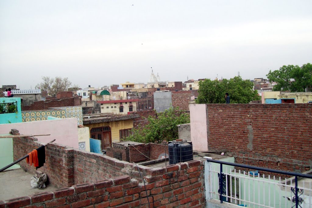 Skyline