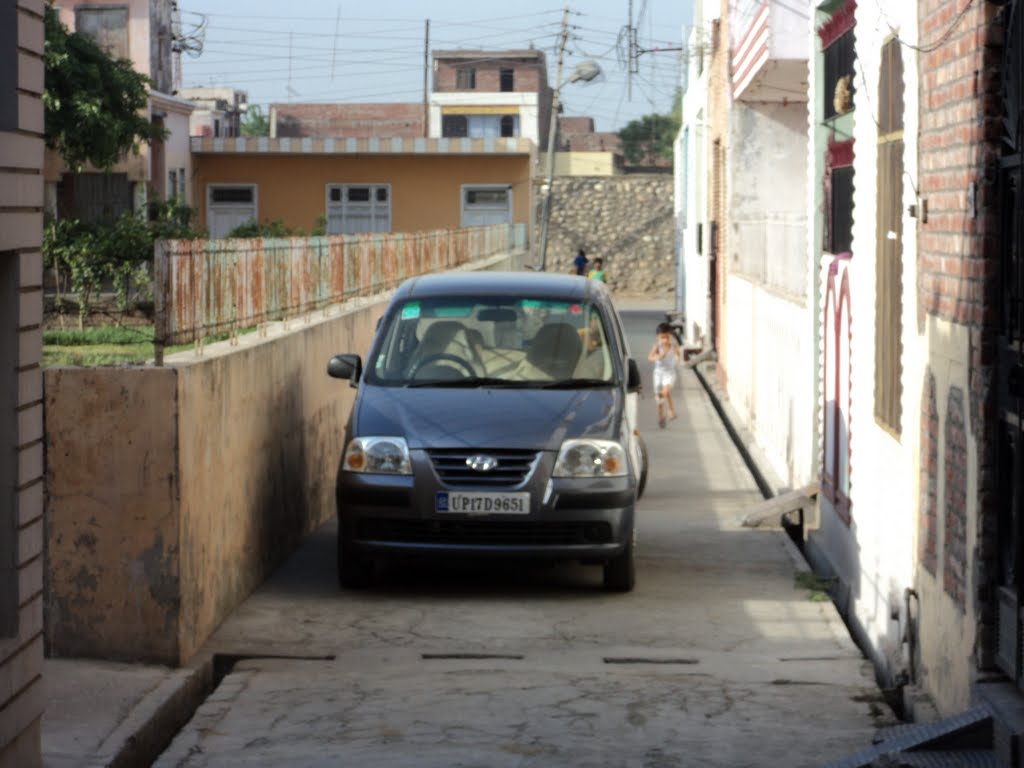 Vakil Colony At Ram Lila Tilla