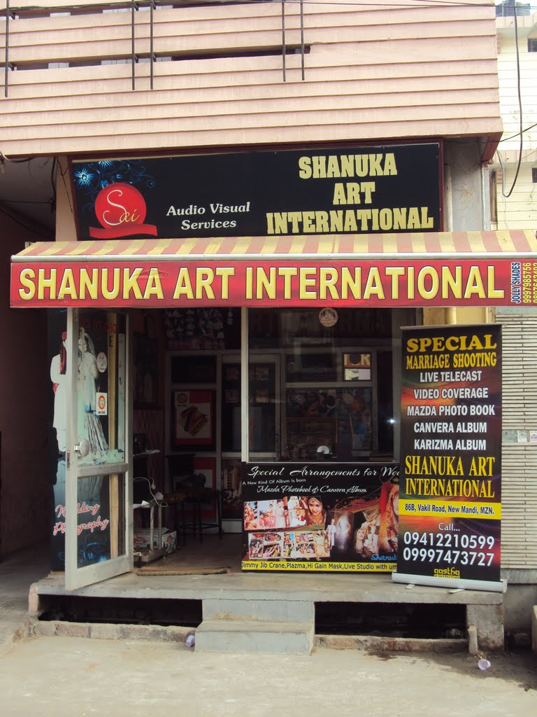 Shanuka Art International