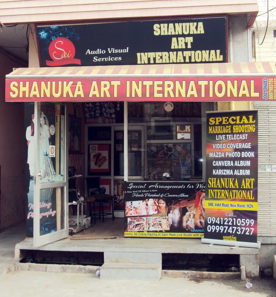 shanuka art international