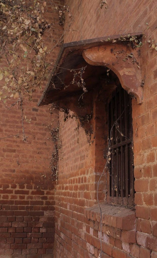 Forlorn Window