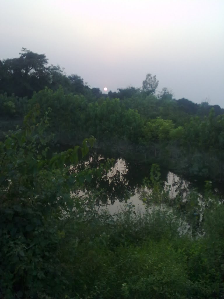 Green Rampur