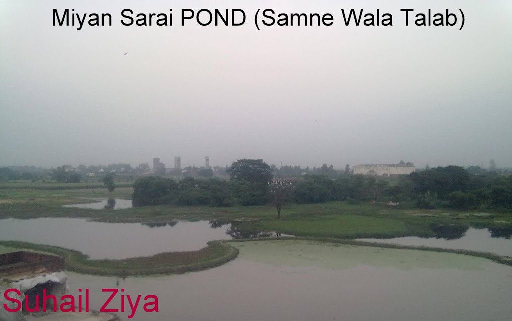 Samne Wala TALAB (Pond)