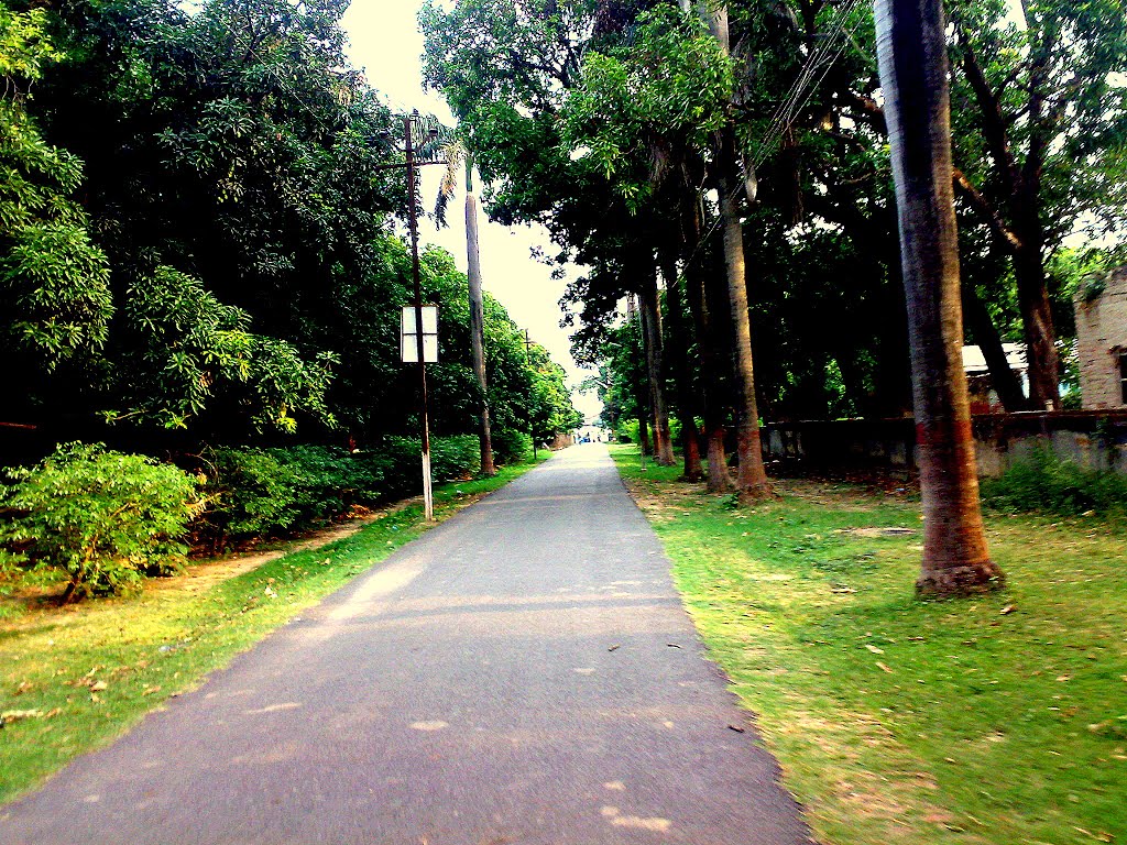 park