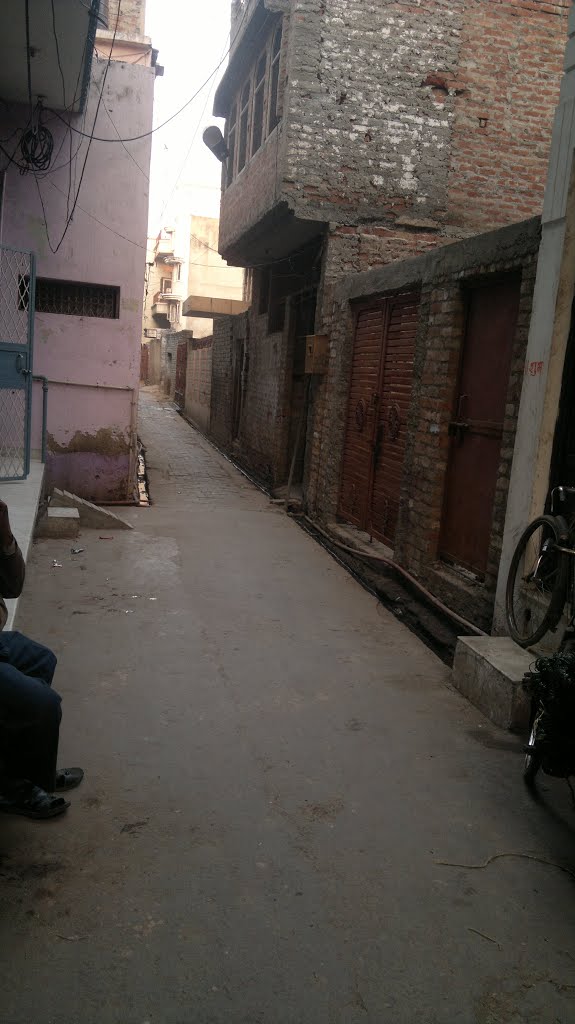 ☆ Dakhal, Firozabad, Uttar Pradesh  By Eagle Eye ☆