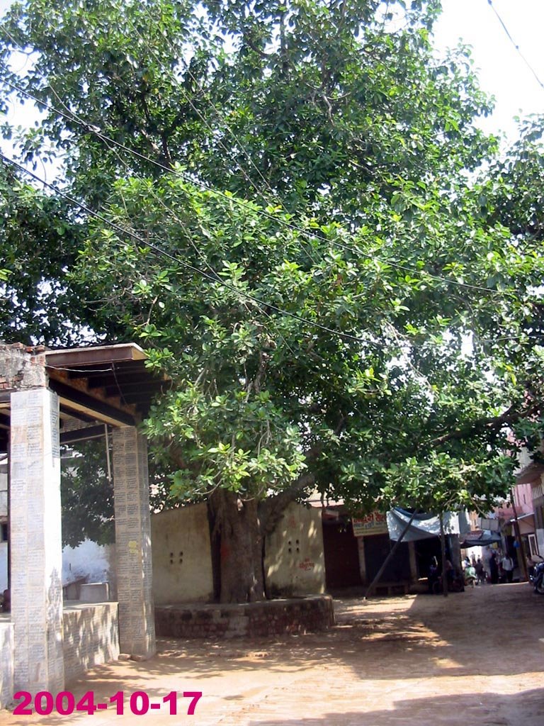 IN GOKUL CHOUK