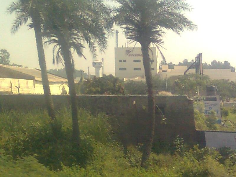 wockhardt building in ambala