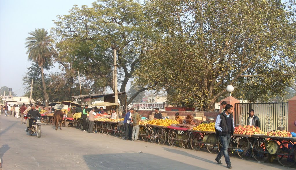 Sāha