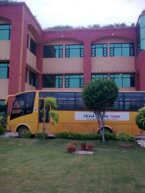 MIND TREE SCHOOL