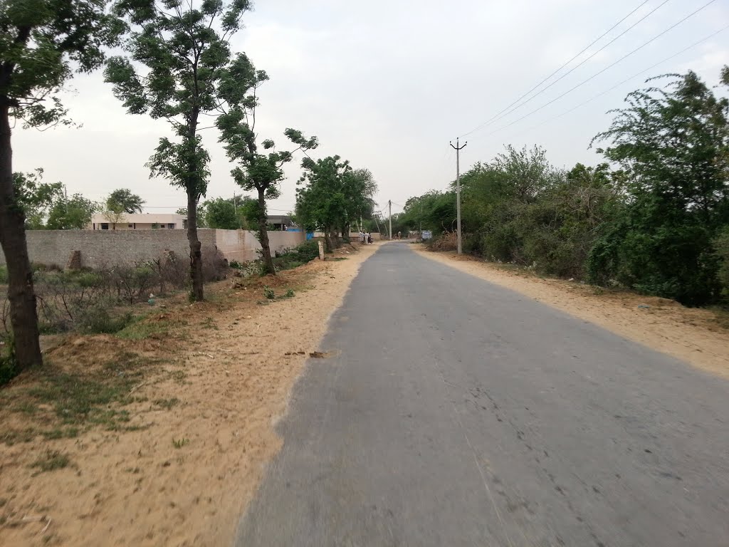 Dhana Ladanpur - Bhiwani Road Dist. Bhiwani Haryana