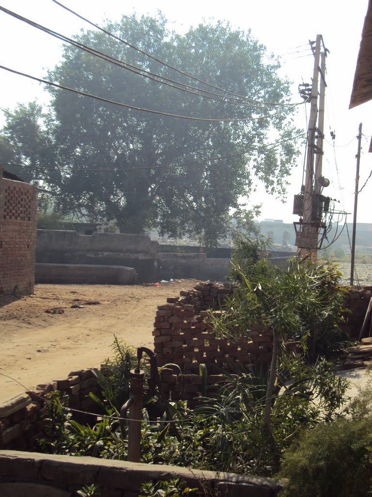Patram Gate wala Johad