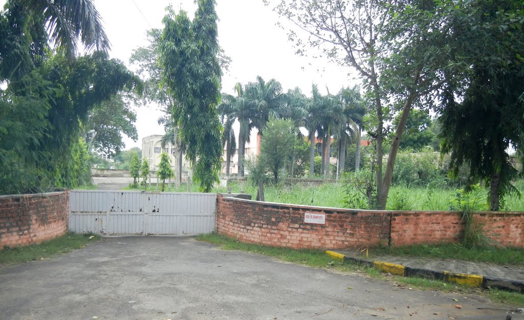 Mini Secretariat Compound