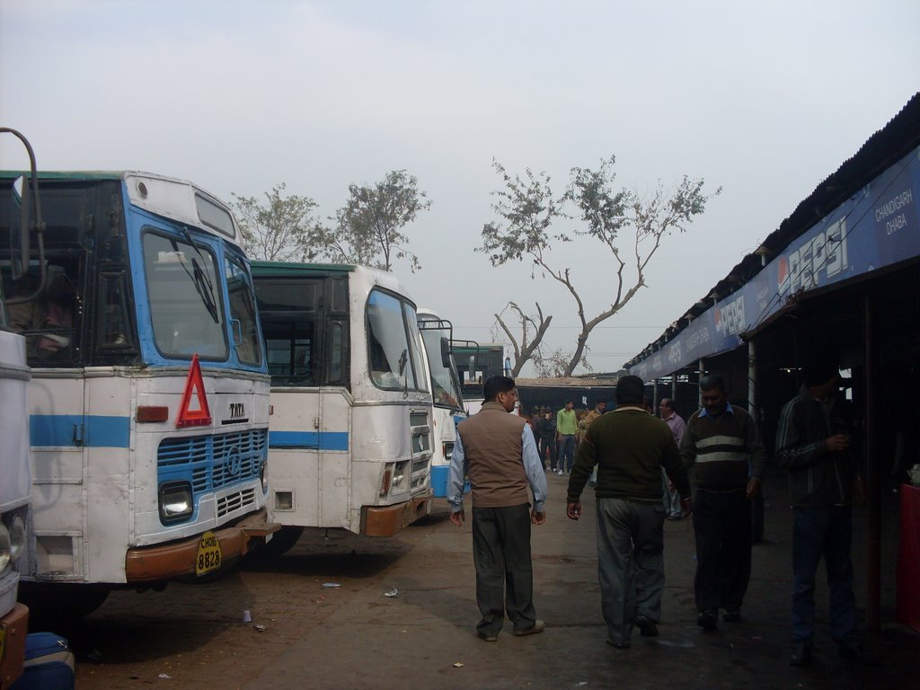 Unofficial bus stop of CTU