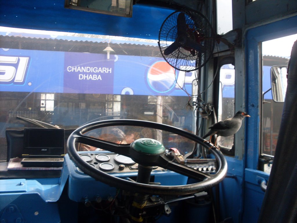 Driver