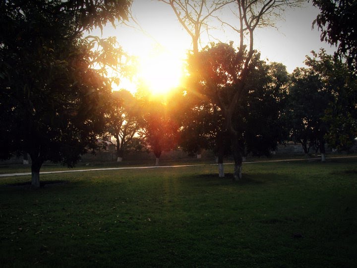 scattering sunlight