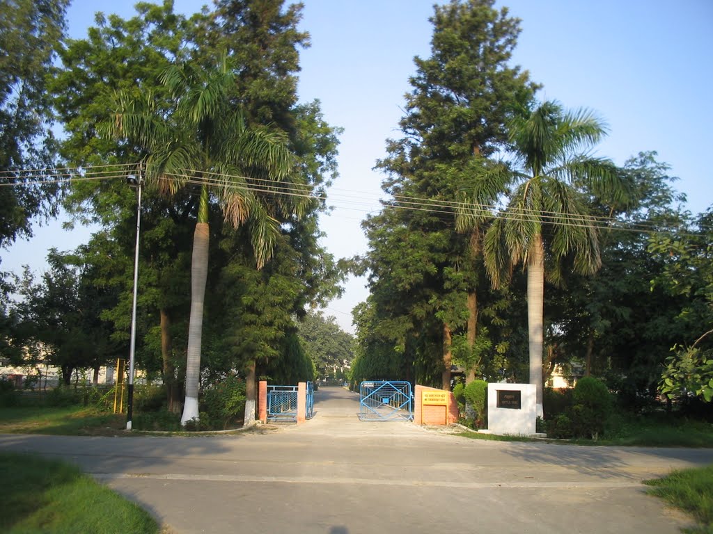 GATE OF FARM FIELD
