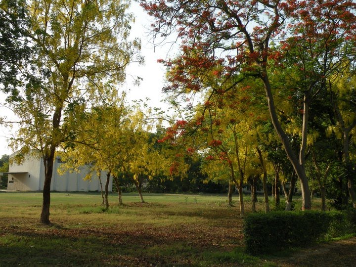 Ground View