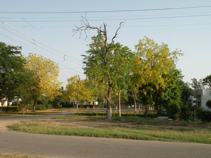 NDRI Roads