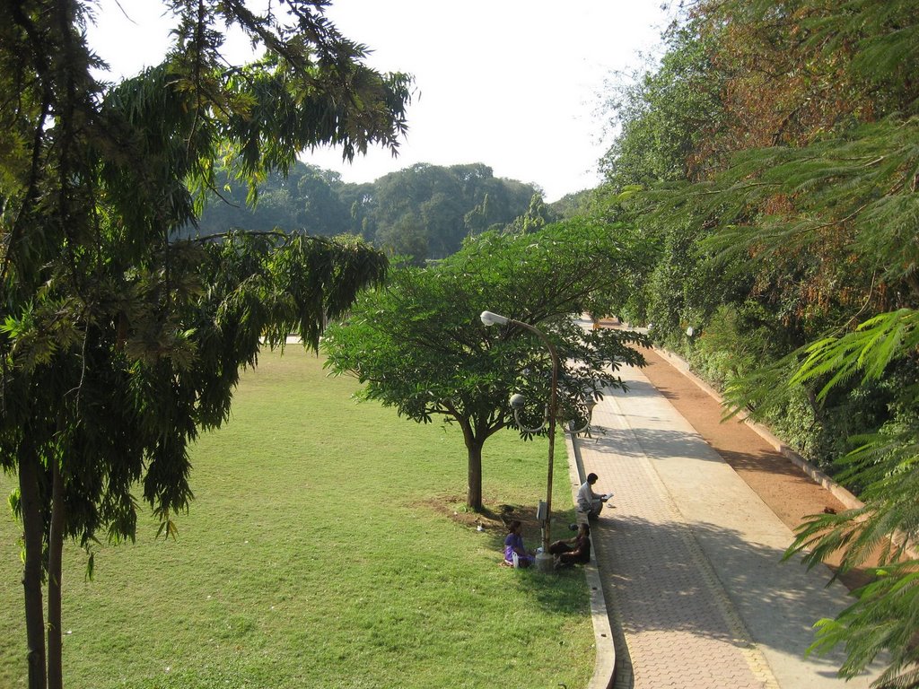in Saras Baug