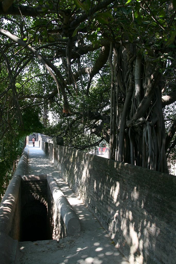 Shaniwar Wada Walls