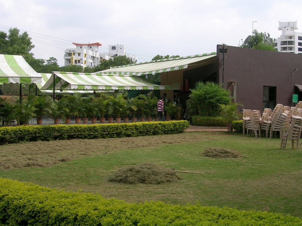multi spice lawn