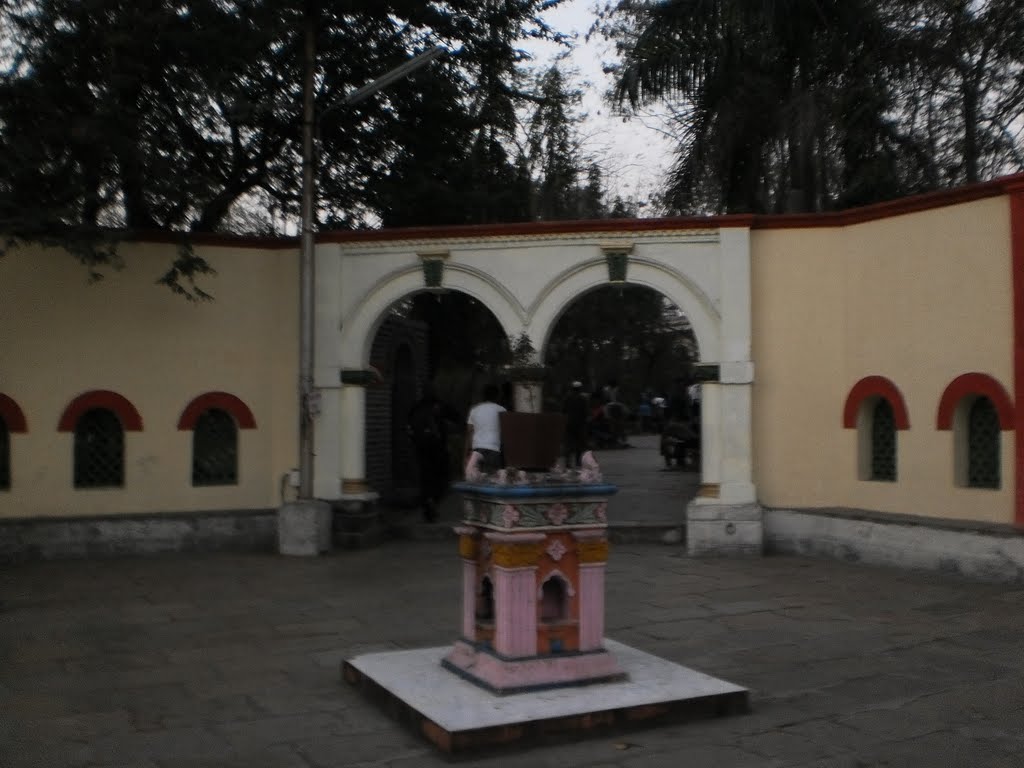 "Tulsi Vrindavan " in the courtyard .
