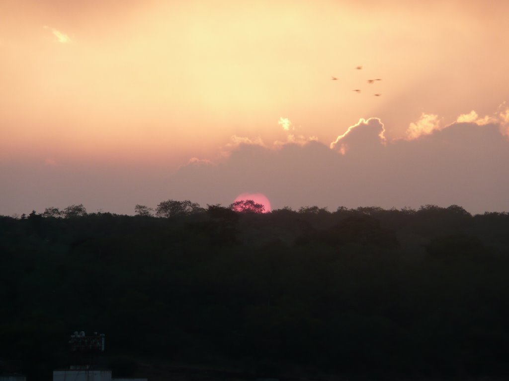 The End of the Day!