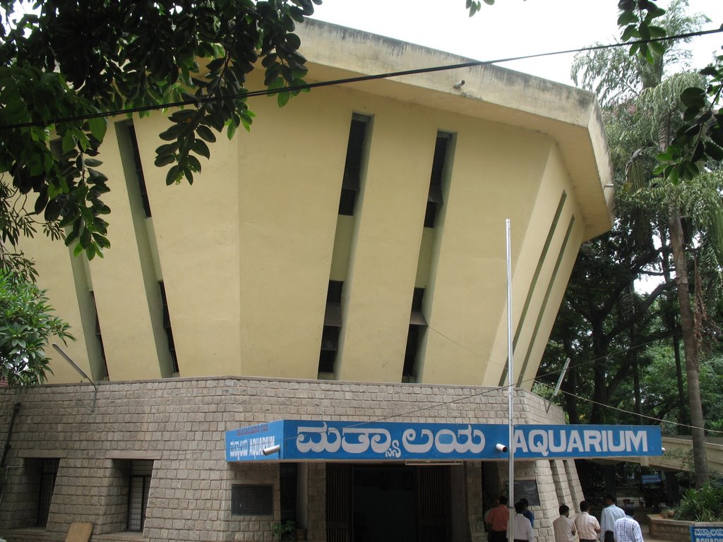The Karnataka State Government Aquarium, Bangalore