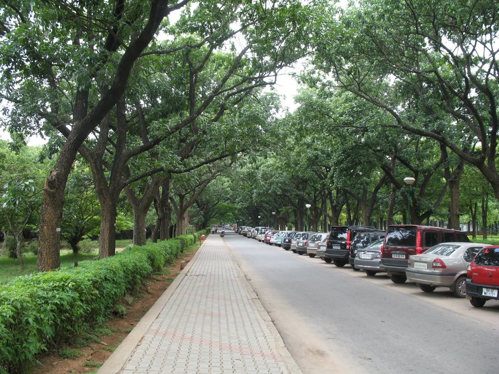 Walkthrough at the Cubbon Park, Bangalore