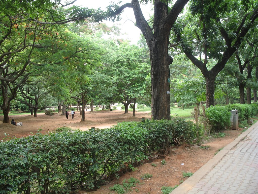 Walkthrough at the The Cubbon Park at Bangalore