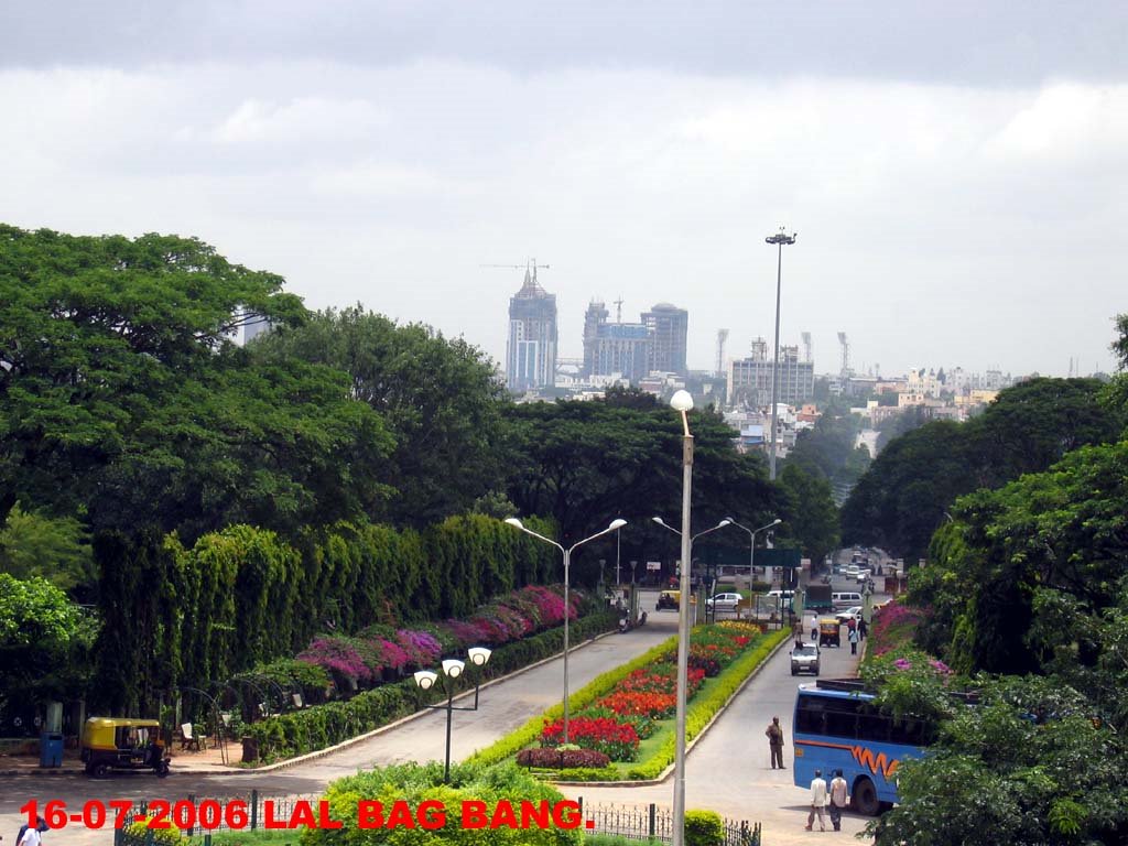 L B 6 VEIW FROM HILL