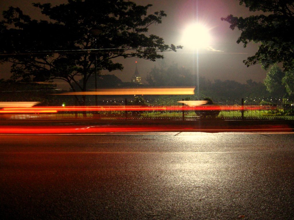 Cubbon Park, at night