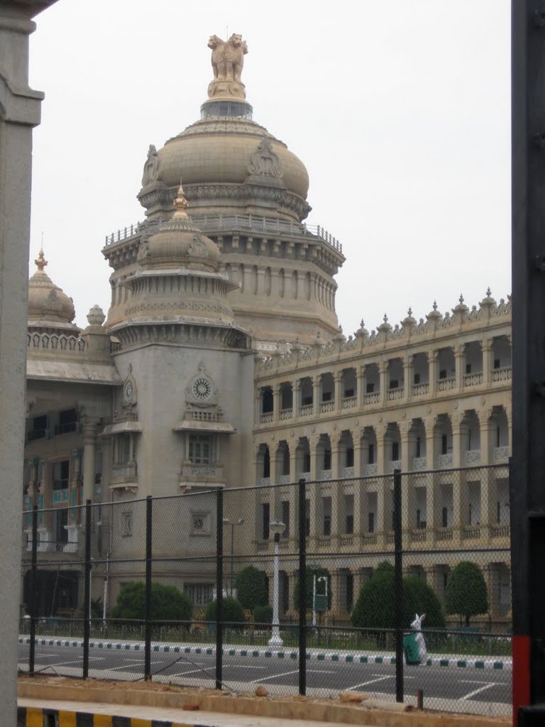 dome of the parliament (beware of the rabbit)