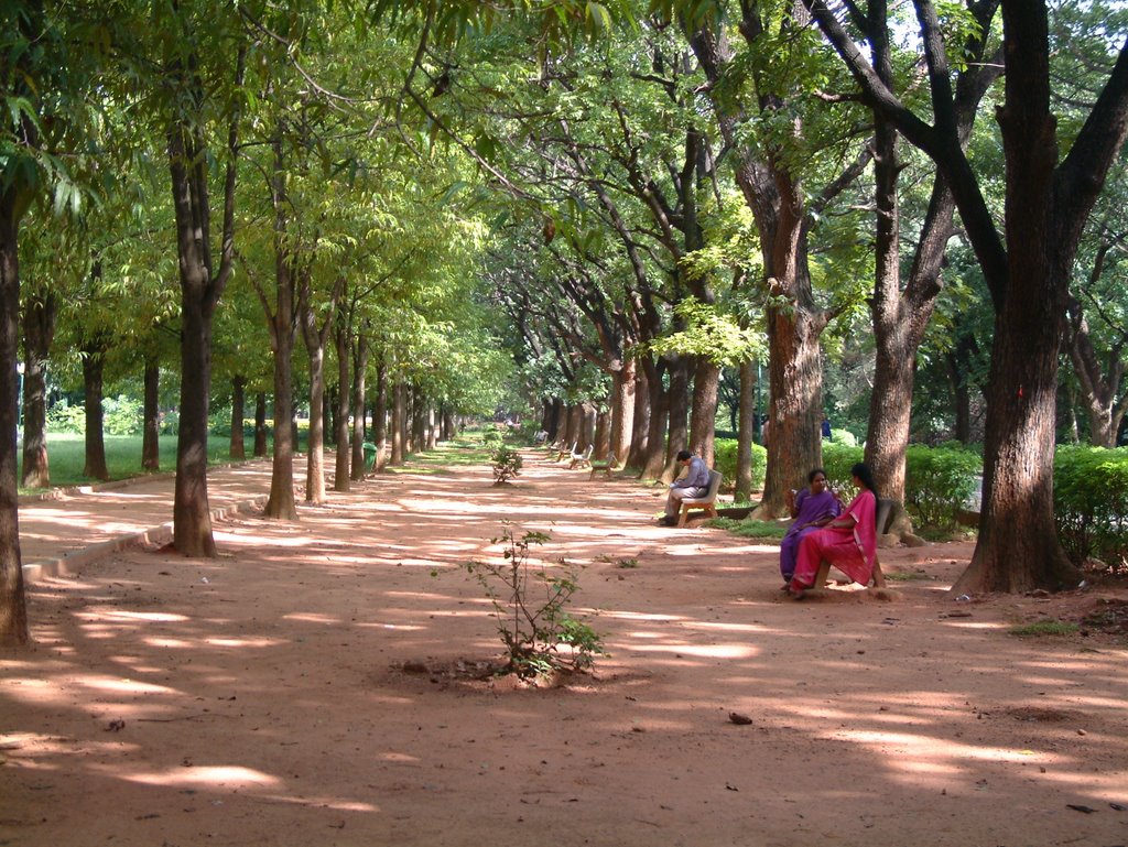 Chatting in the Shade - Cubbon Park