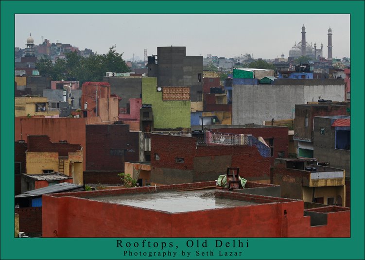 Rooftops of Old Delhi and Jama Masjid, Old Delhi, India