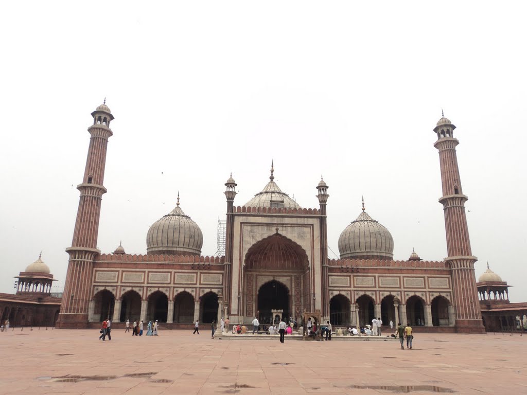 The Front view