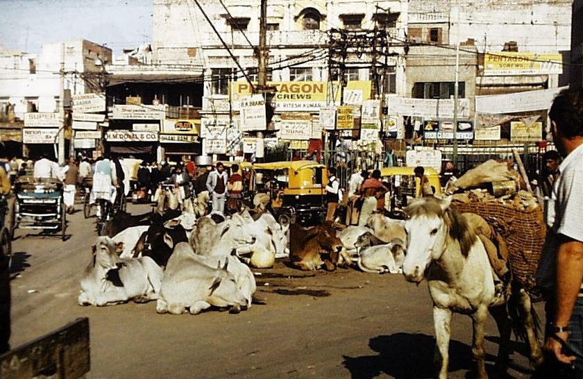 Delhi